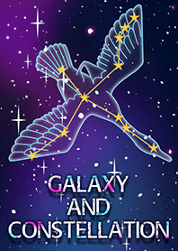 Galaxy and Constellation