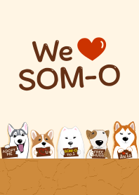 We love SOM-O