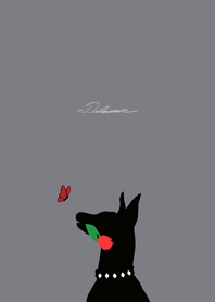 Doberman with butterfly