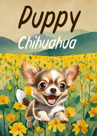 Puppy Chihuahua Cute
