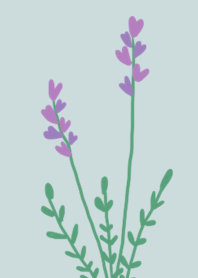 Lavender heart