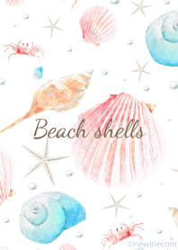 Beach shells