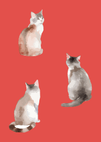 calm cats2 on red