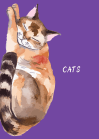 Sleeping Cat on purple