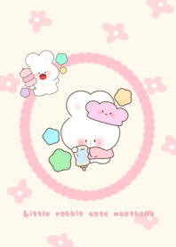 Little rabbit eats meatballs