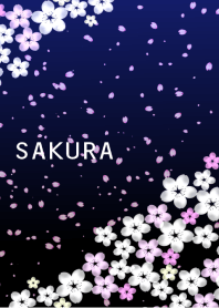 Beautiful SAKURA8 夜桜