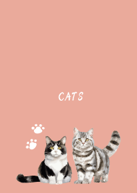 Talking Cats on pink & blue