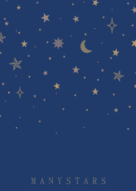 MANY STARS-NAVY 2