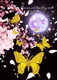 Cherry Blossoms and Butterfly Moon black