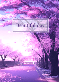 日日是好日-紫色櫻花道
