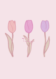Tulip -  pink 1