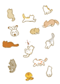 A lot of cats cats!
