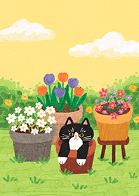 Tuxedo Cat in a Flower Garden
