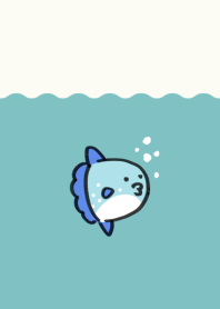 Cute sunfish
