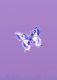 Purple crystal butterfly