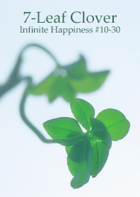 7-Leaf Clover Infinite Happiness#10-30