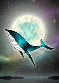 Moon, whale and aquarius 2022