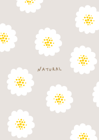 Flower Adult Fashionable30 from Japan