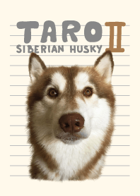 Taro Siberian Husky V.2 (JP)
