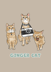 gingercat2 / tan