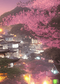 日本夜樱花＃dae05。