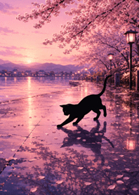 夜櫻夕陽黑貓散步#13
