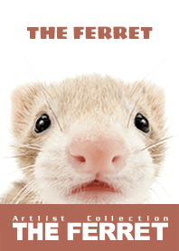 THE FERRET 2