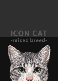 ICON CAT - Mixed breed cat - BLACK/14