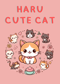 ฮารุแมวน้อยน่ารัก