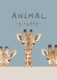 ANIMAL - Giraffe - DUSTY BLUE