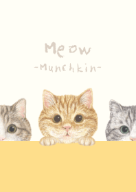 Meow - Munchkin - BEIGE/YELLOW