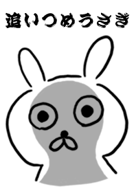 Rabbit to corner