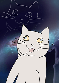 獲得一切真理的貓 6.0