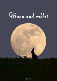 Moon and rabbit  Otsukimi from Japan