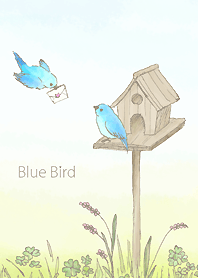 นกสีฟ้า/น้ำตาล 19.v2