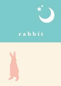 rabbit -spring-