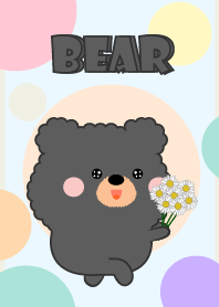 Color Cute Black Bear FuFu Theme