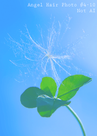 Angel Hair Photo#4-10Not AI