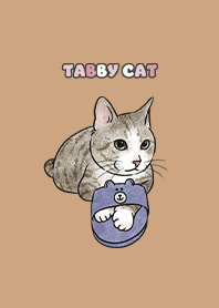tabbycat6 - burly wood