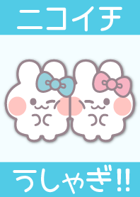 Nikoichi ushagi!!light blue pink[LB]