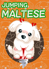 Maltese Maltese