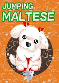 Maltese マルチーズ