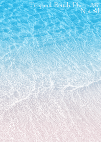 Tropical Beach Photo 337 Not AI