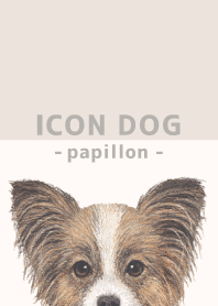 ICON DOG - Papillon - BEIGE/04