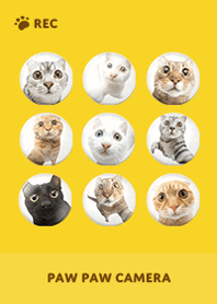 Paw Paw Camera -  Yellow 01