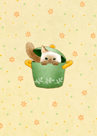 猫たちの着せかえ