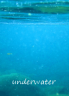 underwater them