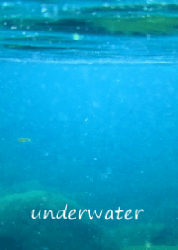 underwater～川の中～