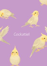 Cute Cockatiel3 light purple