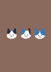 cat- blue beige